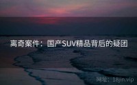 离奇案件：国产SUV精品背后的疑团