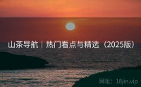 山茶导航｜热门看点与精选（2025版）