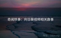 奇闻轶事：向日葵视频相关趣事