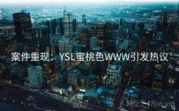 案件重现：YSL蜜桃色WWW引发热议