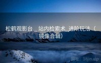 松鹤观影台 _ 站内检索术_进阶玩法（镜像合辑）