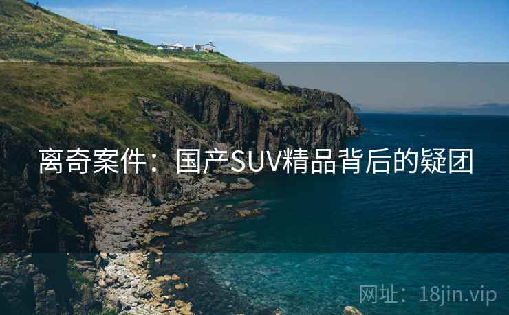 离奇案件:国产SUV精品背后的疑团 离奇案件:国产SUV精品背后的疑团