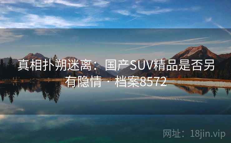 真相扑朔迷离:国产SUV精品是否另有隐情 · 档案8572 真相扑朔迷离:国产SUV精品是否另有隐情 · 档案8572