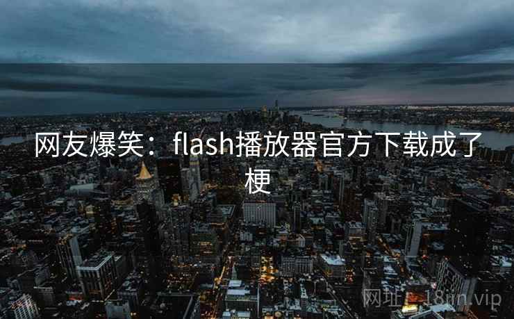 网友爆笑：flash播放器官方下载成了梗